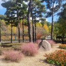 북촌돈부리 이미지