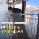 캣라운지 | BPF 철제 캣타워 내돈내산 설치후기