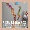 수리력 쑥쑥 보드게임 | 37개월 우리 아이도 푹 빠진 첫 보드게임 '서펜티나' 내돈내산 후기🐍