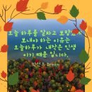 23.10.05.목. 내가 한 일 이미지