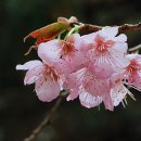 기억의 순간 이미지