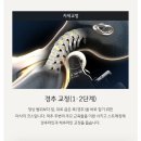 강산메디칼 | 바디프랜드 도곡점, 메디컬 파라오 2026 구매후기