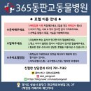 365동판교동물병원 이미지