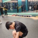 평택복싱스타 이미지