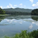 다산생태공원[능내-1] 이미지