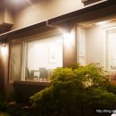 유동장어 이미지