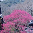 남중동-40 이미지