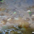 영화한우촌 이미지