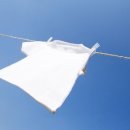 오성세탁 이미지