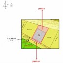 쵸이엘푸드