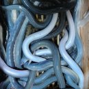 광야농장 이미지