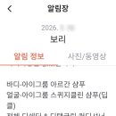 몽개구름 애견유치원 네이버블로그
