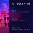 로마 여행, 콜로세움 우선 입장으로 더 특별해진 투어 후기