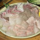 바다사랑 | 주말에도 웨이팅 없이 들어간 홍대입구 바다회사랑 서교점 솔직후기