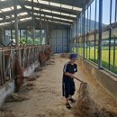 여물소농장 이미지