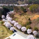 대청호코스 이미지