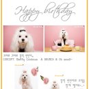 빈빈스튜디오