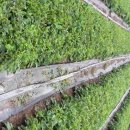 순애농장 이미지