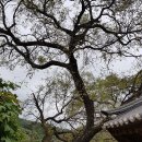 진주 동산재 | ‘19.10.24. 진주성 지킴이교육