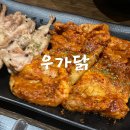 원주 숯불닭갈비 무실동 우가닭 닭목살과 닭갈비 소금, 양념 선택가능