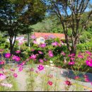 산아래물가에서 이미지