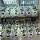 황연동행정복지센터 이미지