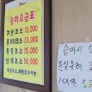 제주교래승마장