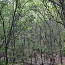 우면산7-2-2 이미지