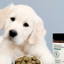 천풍동물병원 이미지