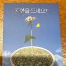 봉평메밀막국수본가 이미지