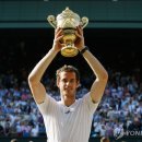 윔블던 이미지