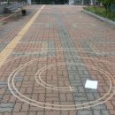 능동초교 이미지