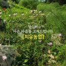 남원의원 이미지