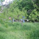 호경농장 이미지