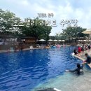 카페카바나 | 강원 오크밸리 리조트 실내 야외 수영장 선베드 카바나 가격 후기 정보