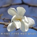 제269회:수산노리이야기(앵봉산·서오릉.'23.3.11) 이미지