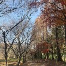 천년숲 | [경주여행] 경주 가볼만한곳 산책하기 좋은 천년숲정원 방문후기