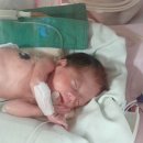 내품에햇살 이미지