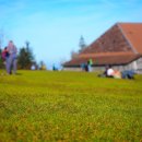 론볼경기장 이미지