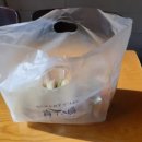 마네키네코노래연습장1 이미지