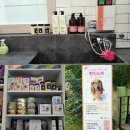 체인지펫샵 이미지