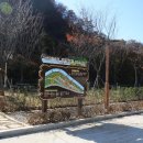 부여(외산)-9 이미지