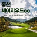 세이지우드 홍천산양목장 | 여름골프 해발765m 잭니클라우스 설계 강원도 명문 세이지우드홍천cc