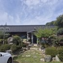 태백산정육점