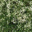 낙동강변2 이미지