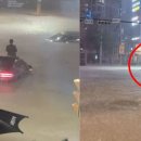 서초남서울 이미지