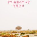 강서 명동전가 | 냉 콩국수가 맛있는 가게 강서 홈플러스 4층 명동전가에 먹은 후기