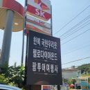 결혼 준비 5. 신혼여행 허니문 투어 (천안 팜투어 계약 후기)