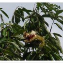 수곡농장 이미지