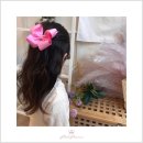 분홍공주 이미지